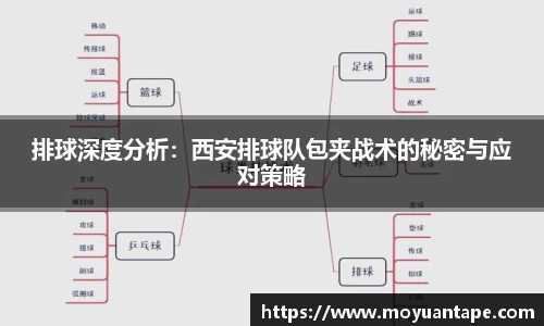 星空综合官网