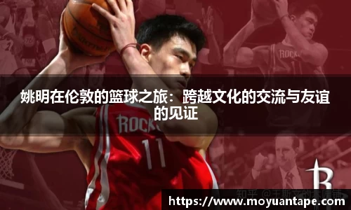 星空体育综合官网