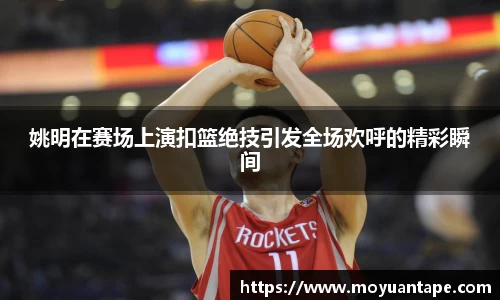 星空综合官网