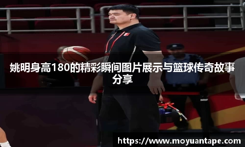 星空综合官网