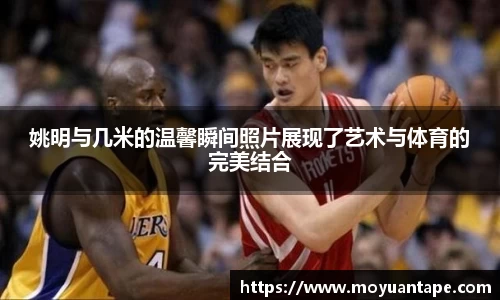 星空体育综合官网
