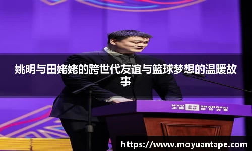 星空综合(中国)官方网站