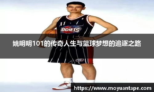 星空综合(中国)官方网站