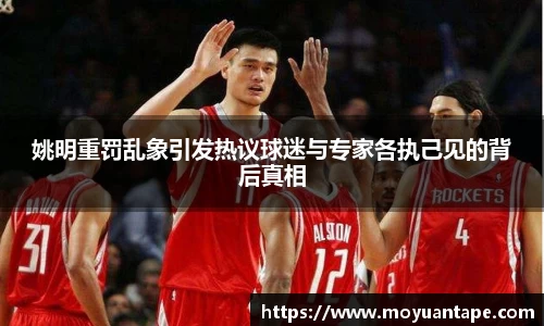 星空综合(中国)官方网站