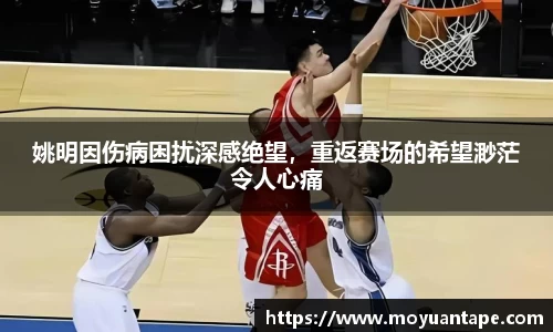 星空综合(中国)官方网站