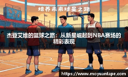 星空综合官网