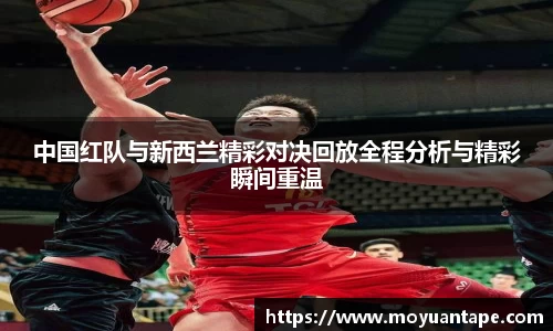 星空体育综合官网