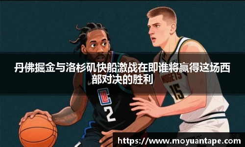 星空综合官网