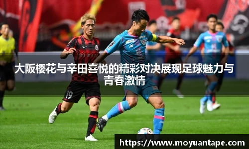 星空综合官网