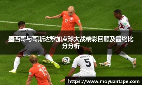 星空综合官网