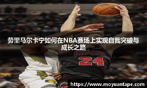 星空体育综合官网