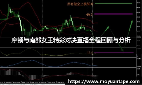 星空综合官网